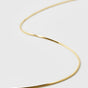 Sheer Mirror Necklace Gold