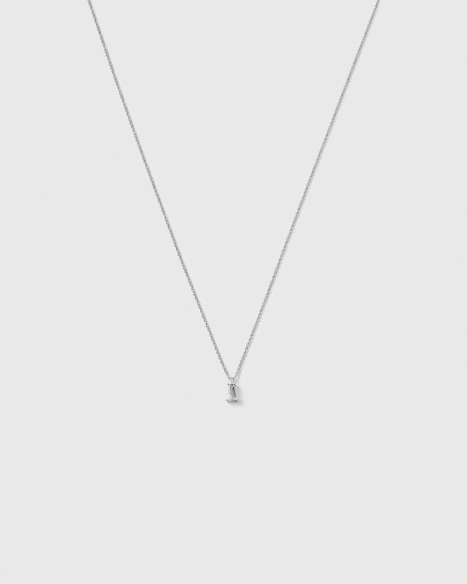 Iggy Necklace Silver